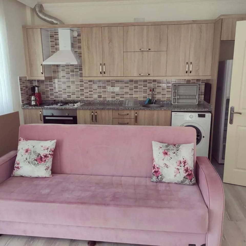 Full-size fridge, oven, stovetop, dishwasher