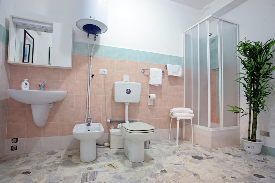 Shower, bidet, towels