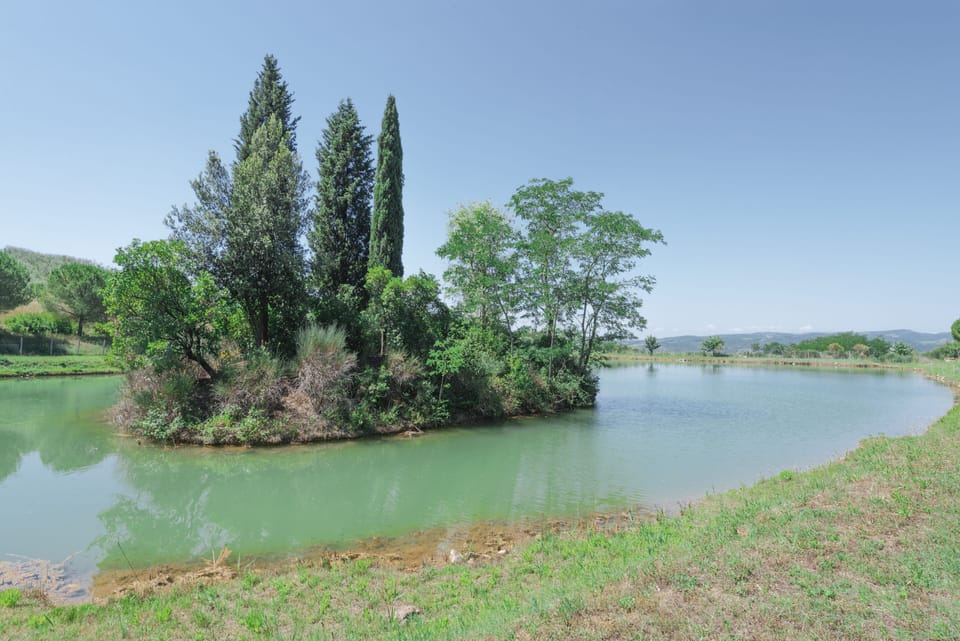 Lake