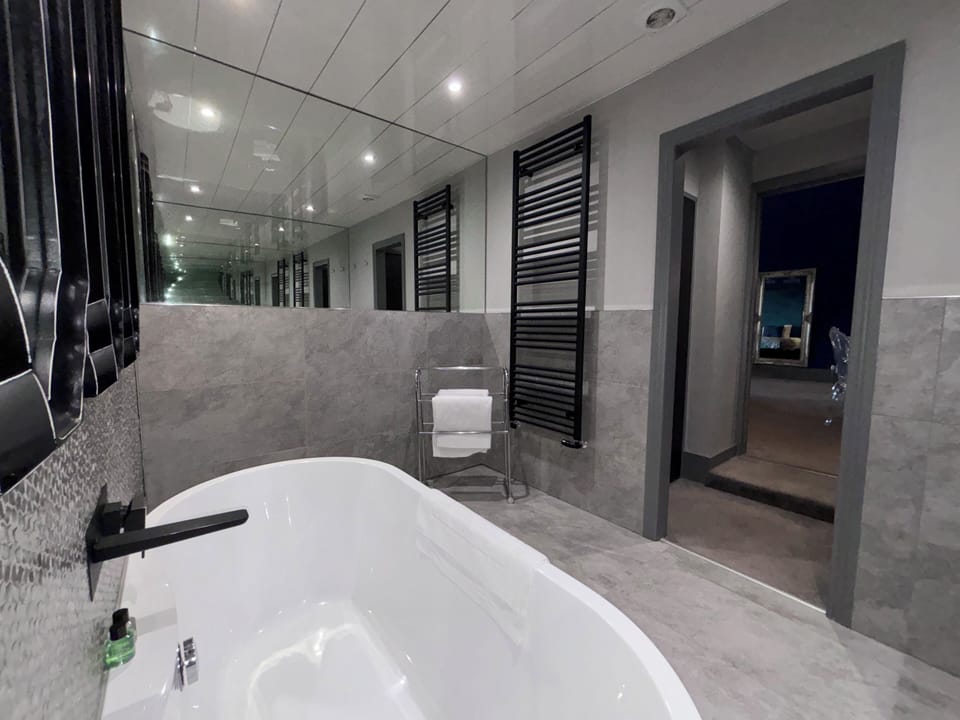 Suite | Bathroom | Free toiletries, hair dryer, towels, soap