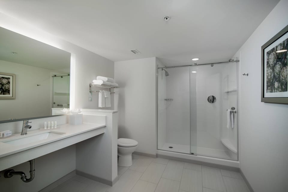 Combined shower/tub, free toiletries, hair dryer, towels