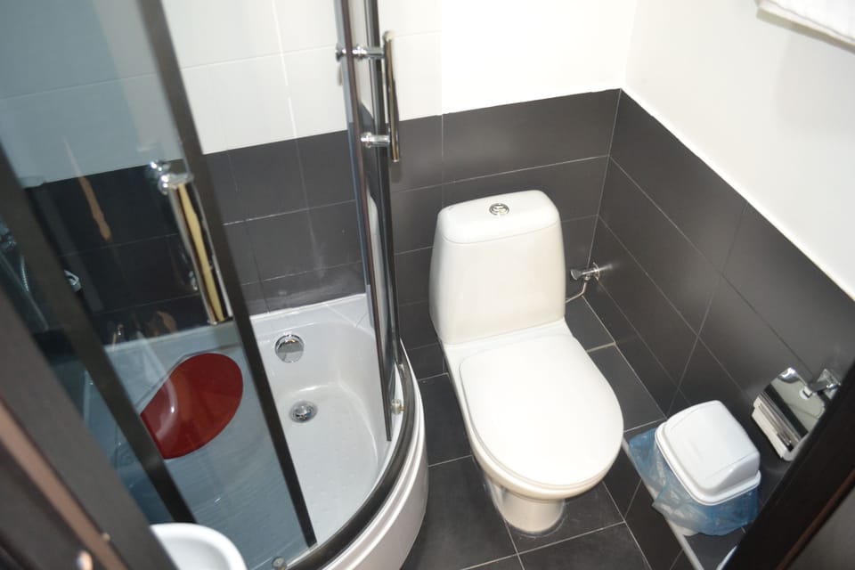 Basic Double or Twin Room | Bathroom | Shower, free toiletries