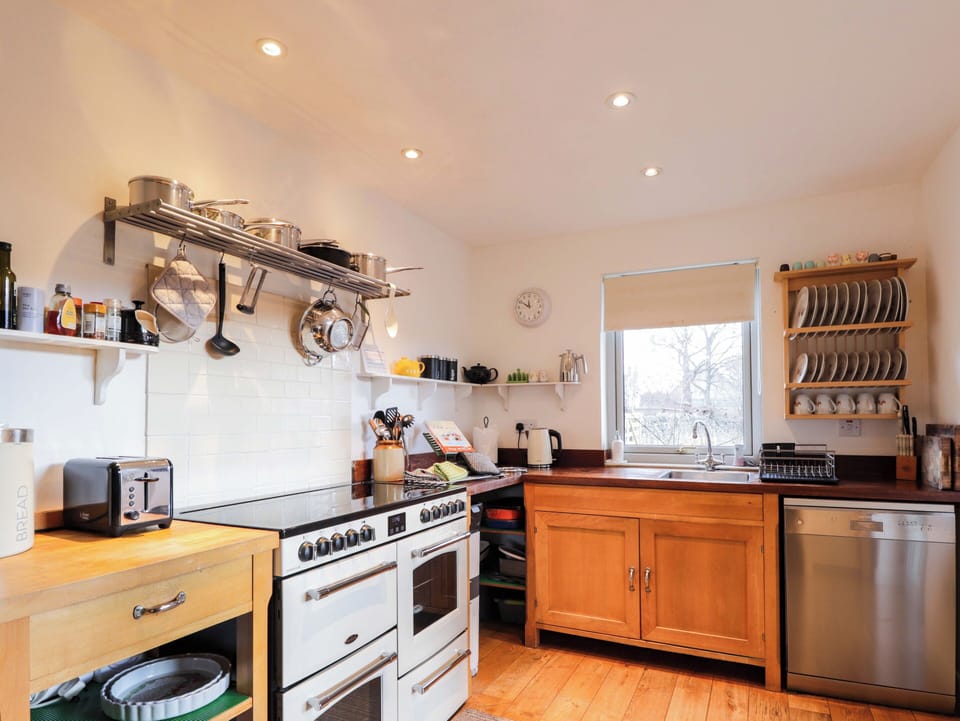Stovetop, dishwasher, cookware/dishes/utensils
