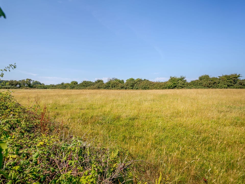 Cottage | Property grounds