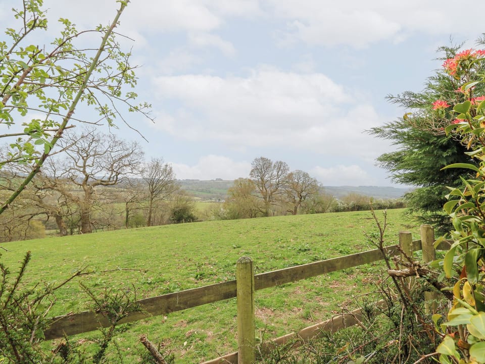 Cottage | Property grounds