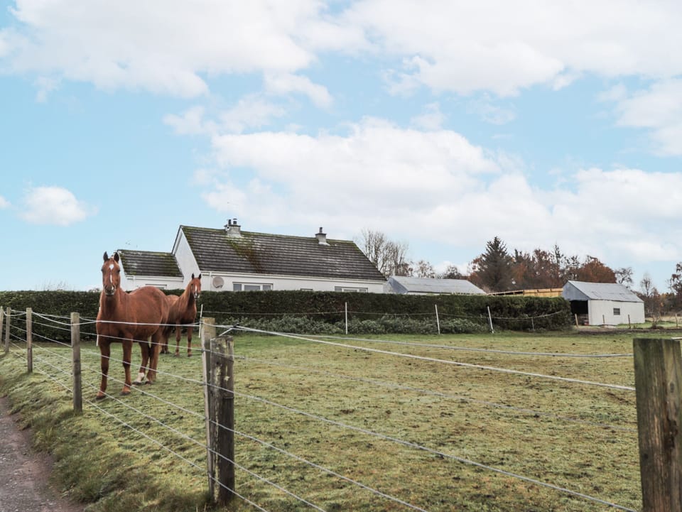 Cottage | Miscellaneous