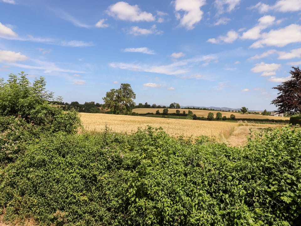 Cottage | Property grounds