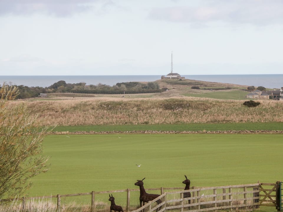 Cottage | Golf