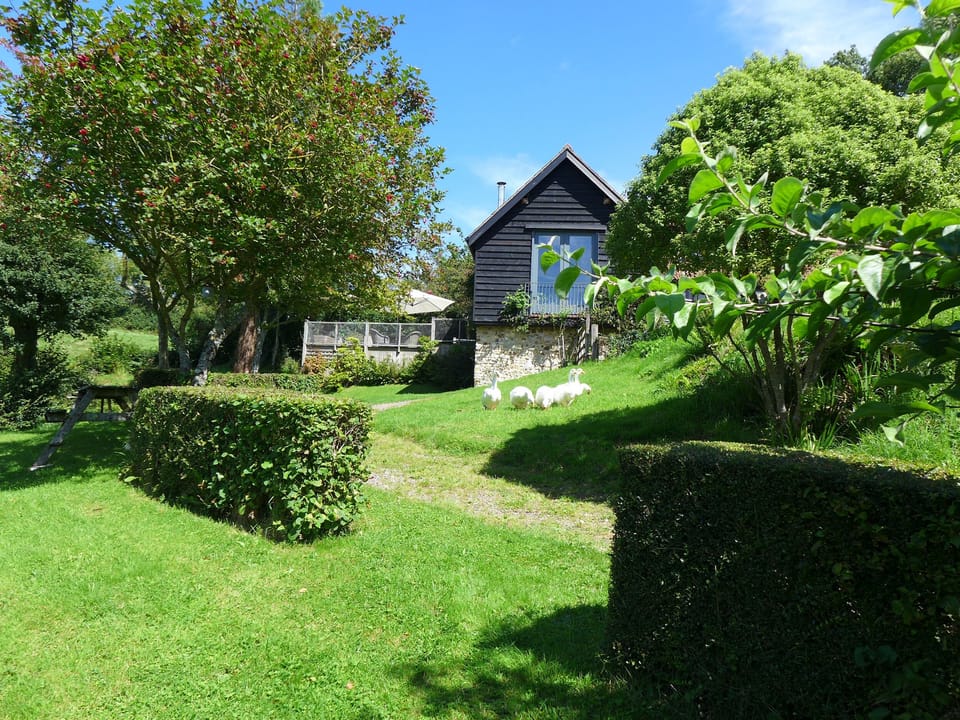 Cottage | Property grounds