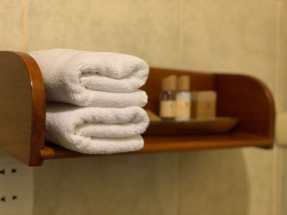 Twin Room, Balcony, River View | Bathroom | Shower, free toiletries, towels