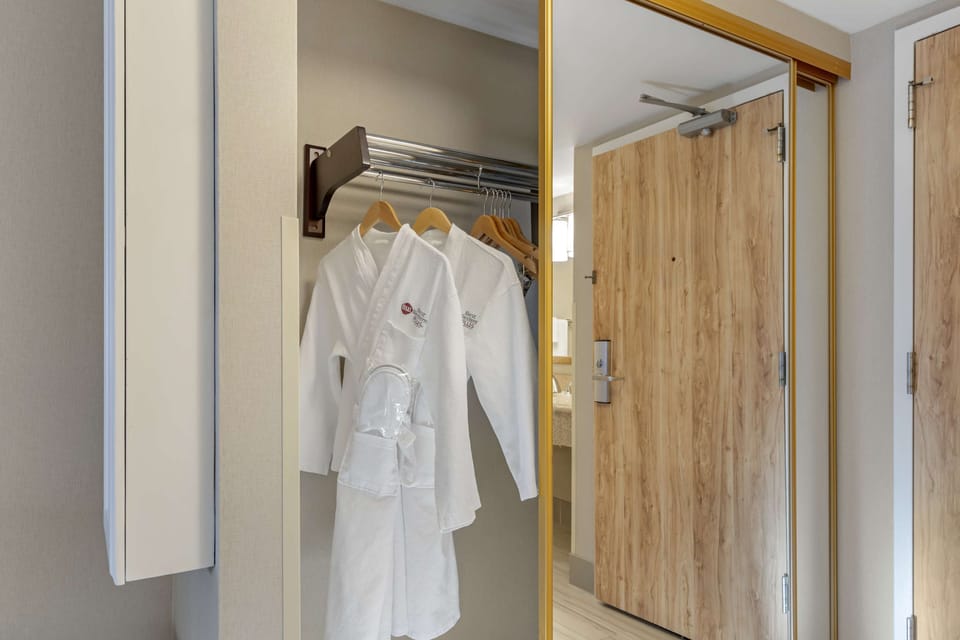 Junior Suite, 1 King Bed, Non Smoking, Balcony (with Sofabed) | Premium bedding, blackout drapes, iron/ironing board