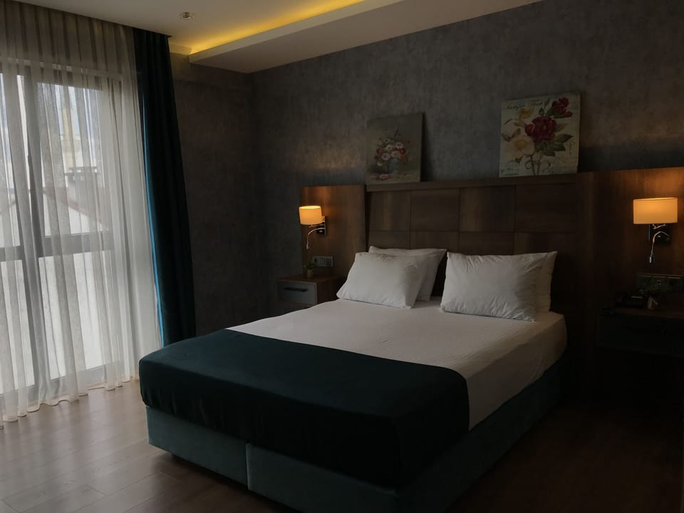Standard Double Room, Mountain View | Minibar, in-room safe, desk, free cribs/infant beds