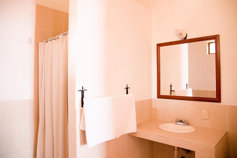 Shower, free toiletries, towels