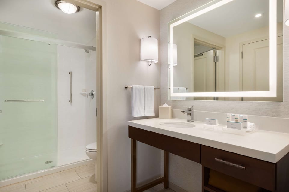 Suite, 1 King Bed, Accessible (Shower) | Bathroom shower