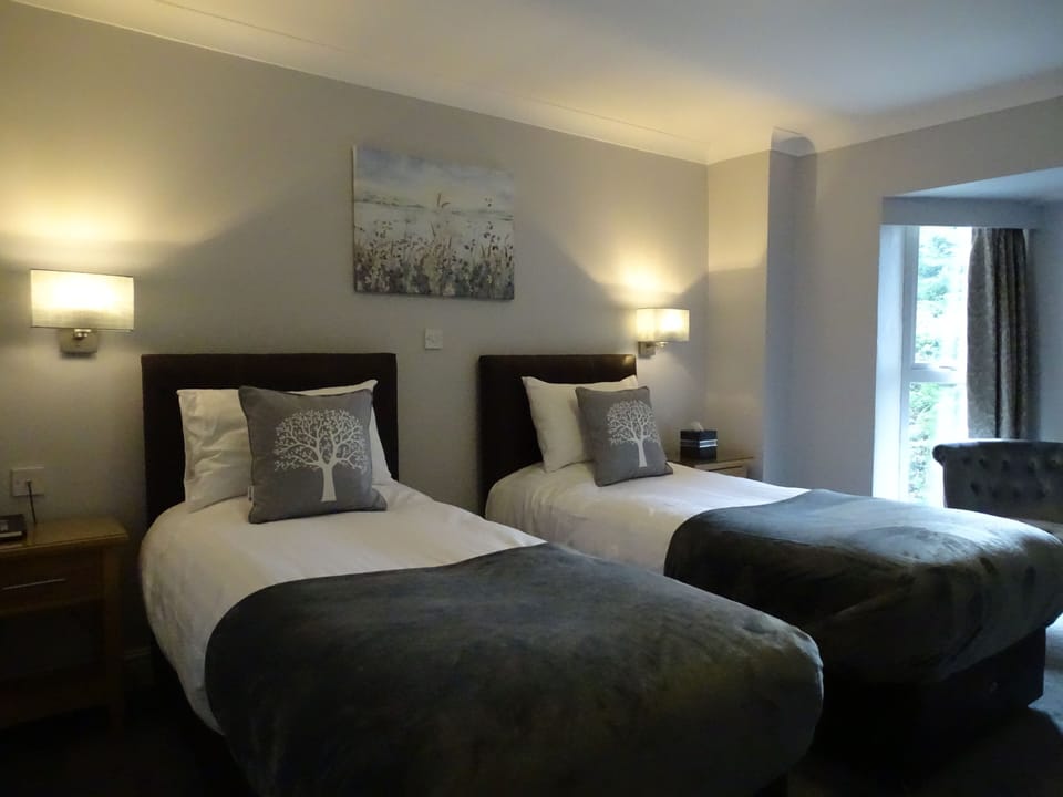 Standard Plus Twin Room | Hypo-allergenic bedding, desk, iron/ironing board, free WiFi