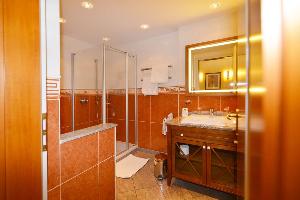 Shower, free toiletries, hair dryer, bathrobes