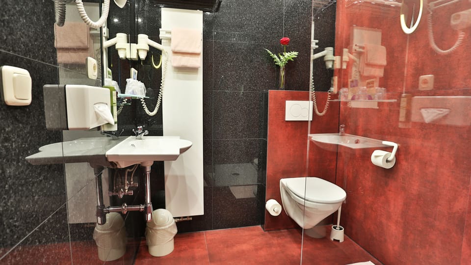 Shower, free toiletries, hair dryer, towels