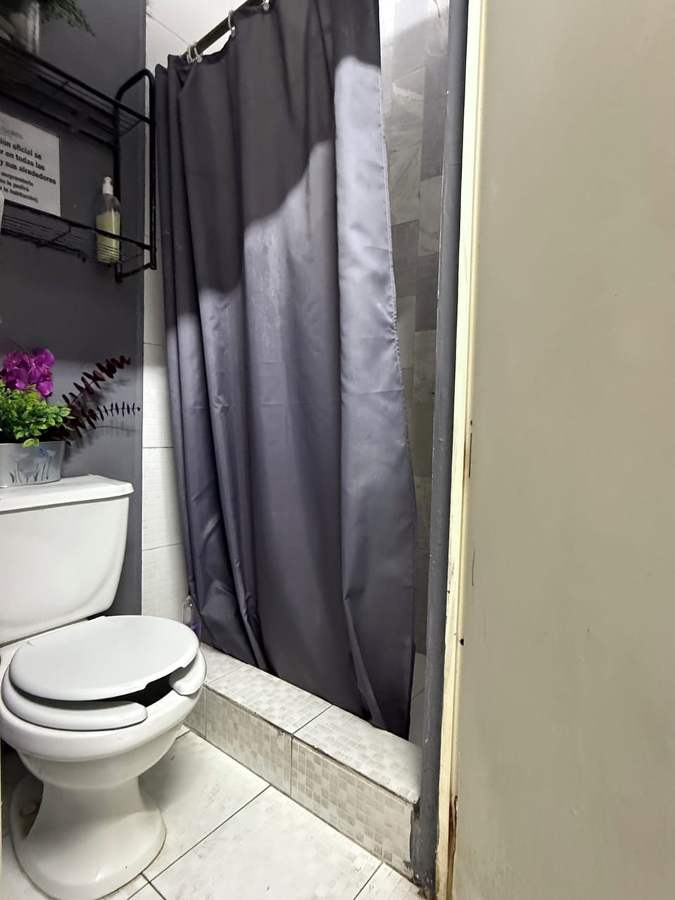 Single Room | Bathroom | Shower, free toiletries, hair dryer, towels