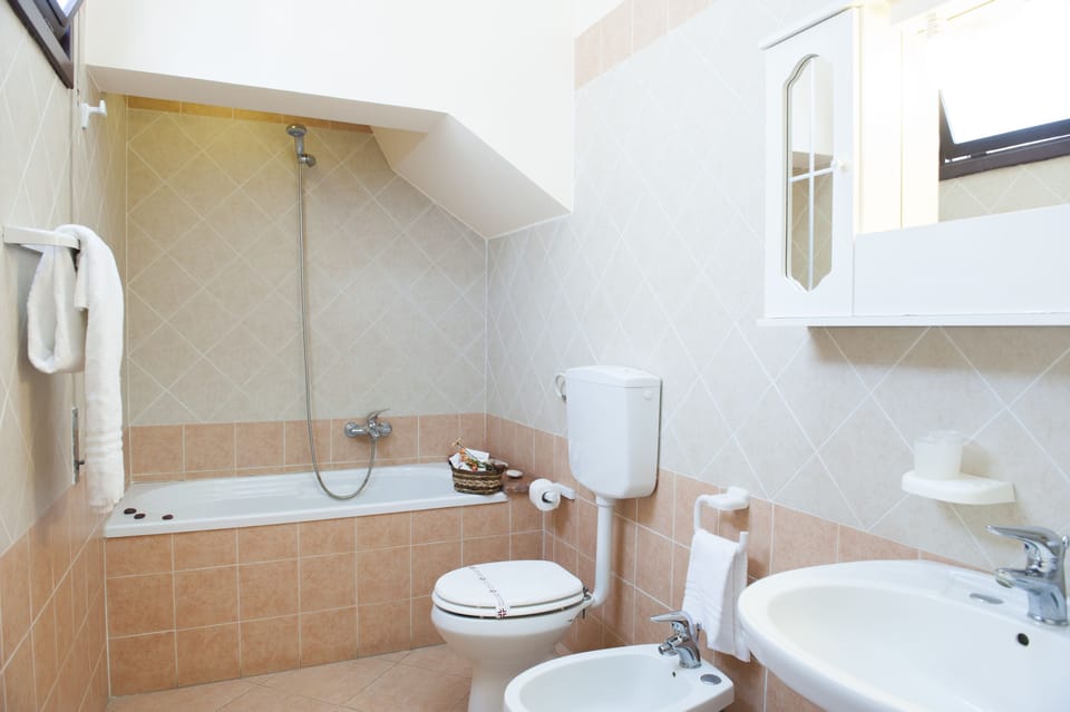 Free toiletries, hair dryer, bidet, towels