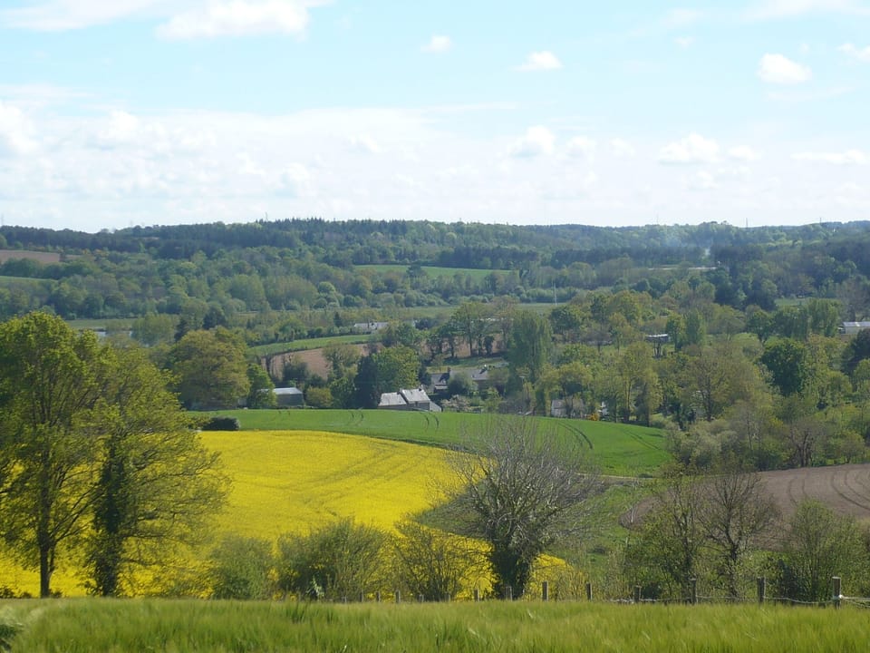 Cottage | View from room