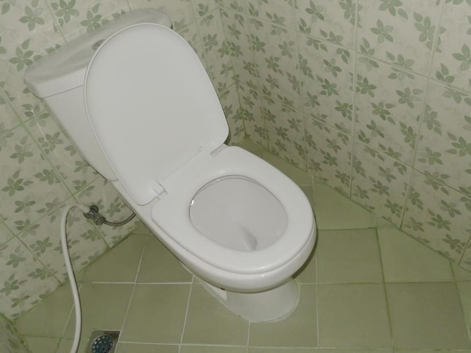 Shower, free toiletries, towels