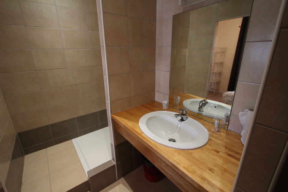 Twin Room | Bathroom | Shower, free toiletries, towels