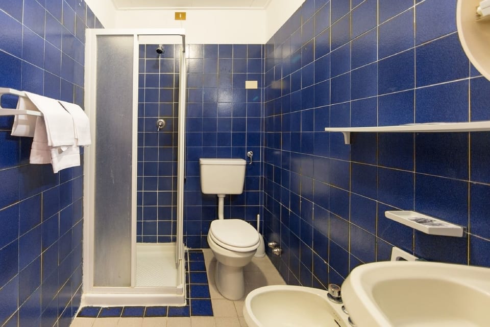 Single Room | Bathroom | Shower, free toiletries, towels