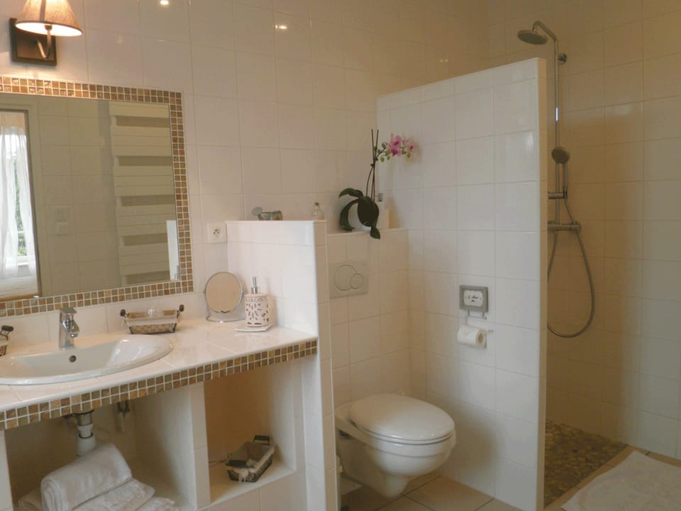 Deluxe Double Room, 1 Bedroom, Private Bathroom | Bathroom | Shower, free toiletries, hair dryer, bathrobes