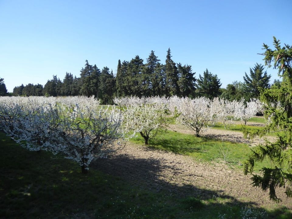 Apartment (Rabassier) | View from room
