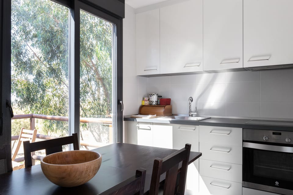 Full-size fridge, microwave, oven, stovetop