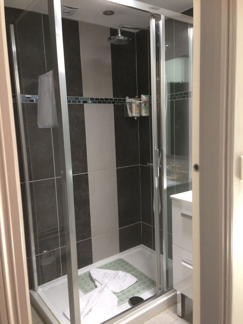 Family Room | Bathroom shower