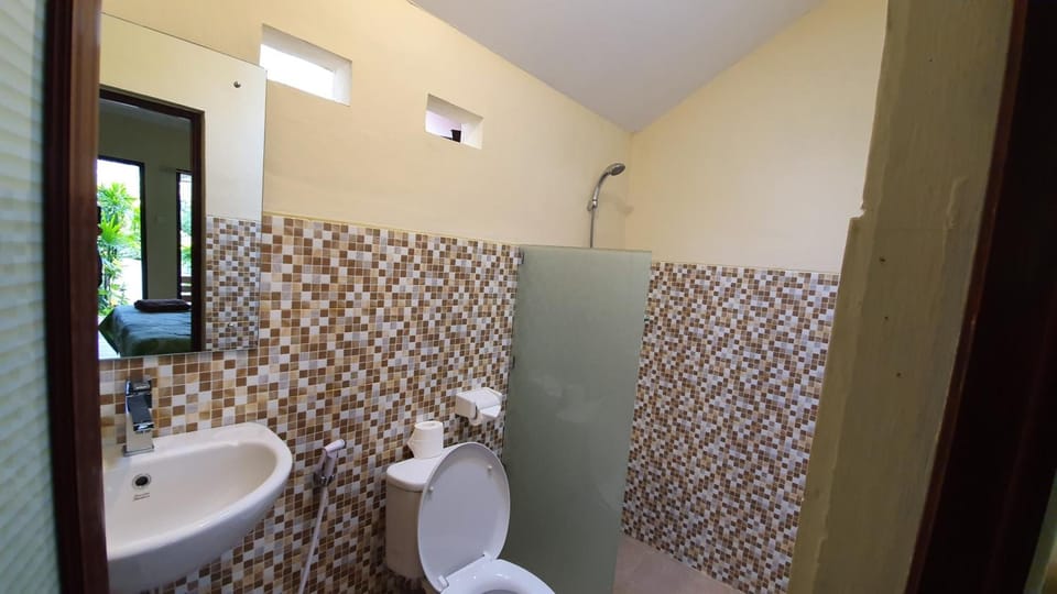 Shower, free toiletries, bidet, towels