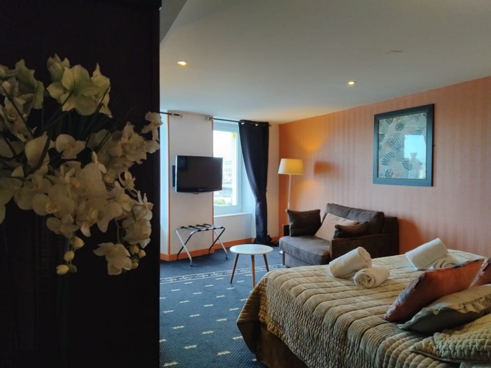 Superior Room | Desk, soundproofing, iron/ironing board, free WiFi