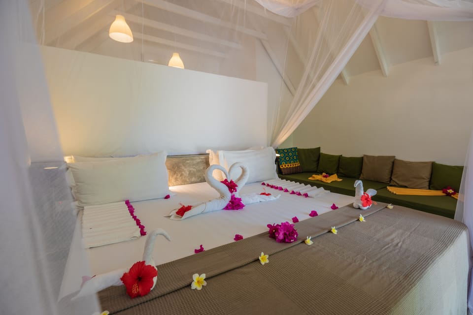 Room with Back Pool View | 1 bedroom, in-room safe, blackout drapes, free WiFi