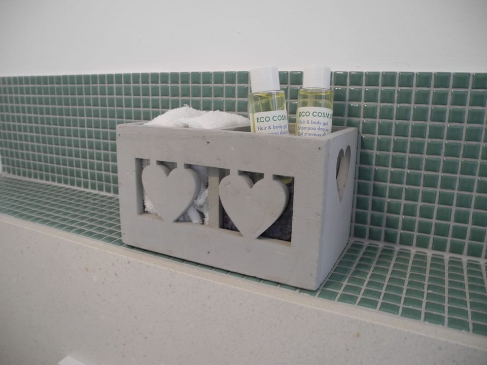 Classic Double Room, Ensuite, Hill View | Bathroom amenities | Shower, rainfall showerhead, free toiletries, hair dryer