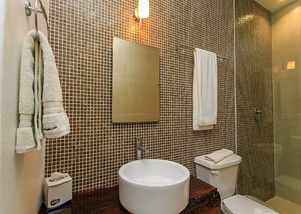 Condo | Bathroom | Shower, free toiletries, hair dryer, towels