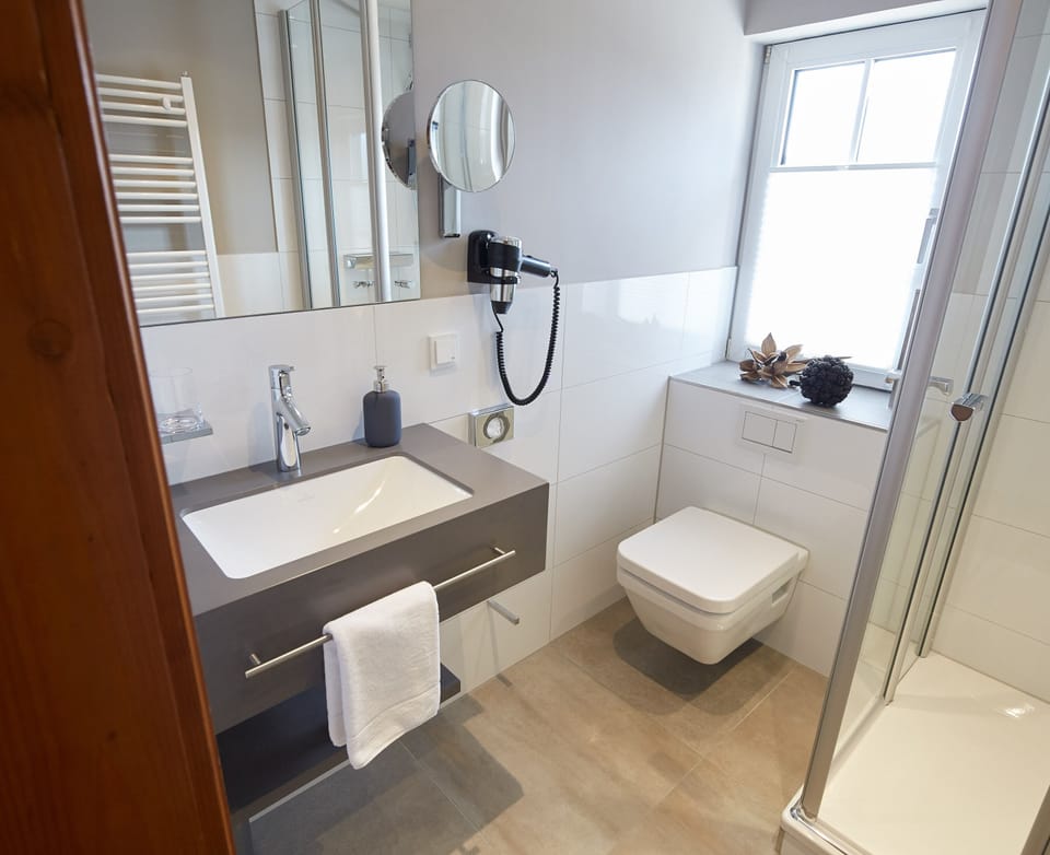 Shower, hair dryer, towels