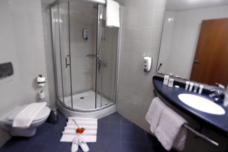 Superior Room With 1 Double Bed | Bathroom | Shower, hydromassage showerhead, eco-friendly toiletries, hair dryer