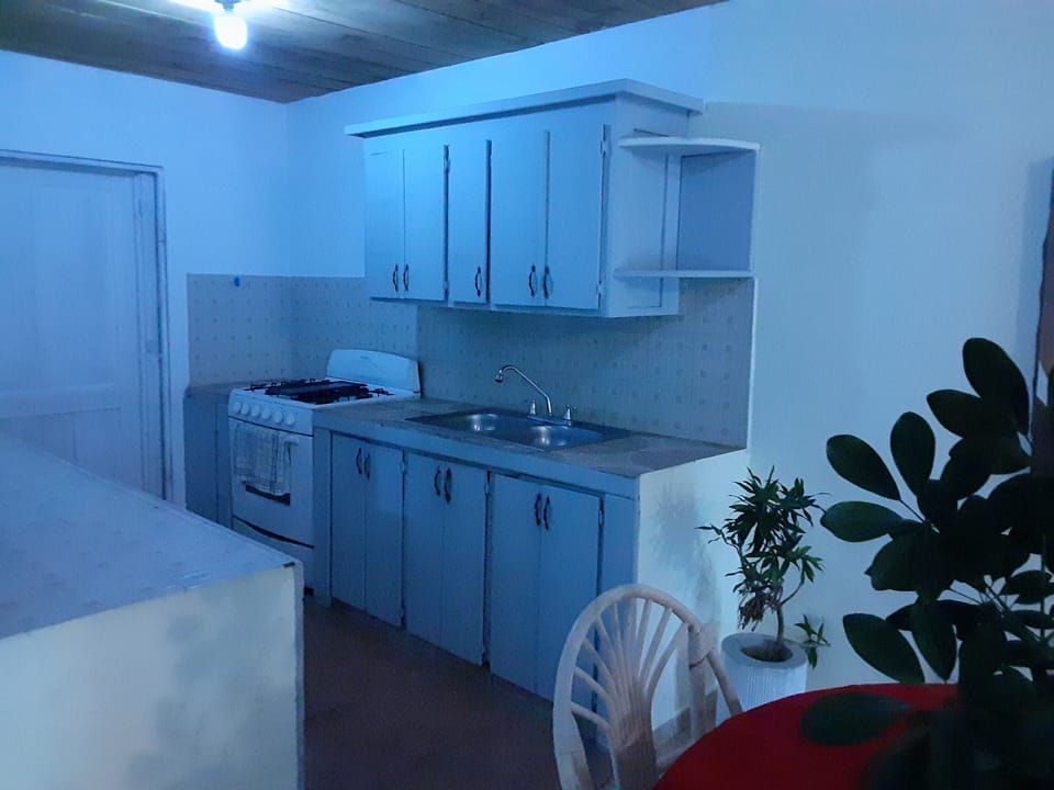 Basic Apartment, Multiple Beds, Non Smoking | Private kitchen | Fridge, oven, stovetop, coffee/tea maker