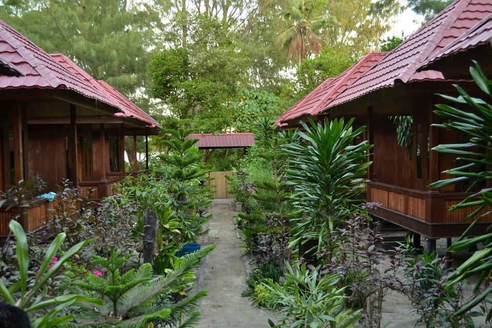 Garden view