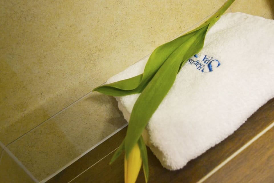 Double or Twin Room | Bathroom amenities | Shower, free toiletries, hair dryer, towels