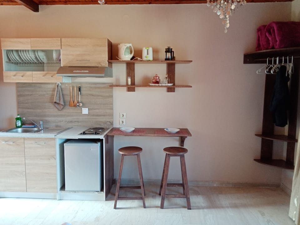 Basic Studio, 2 Twin Beds, Sea View | Private kitchen | Fridge, microwave, stovetop, espresso maker
