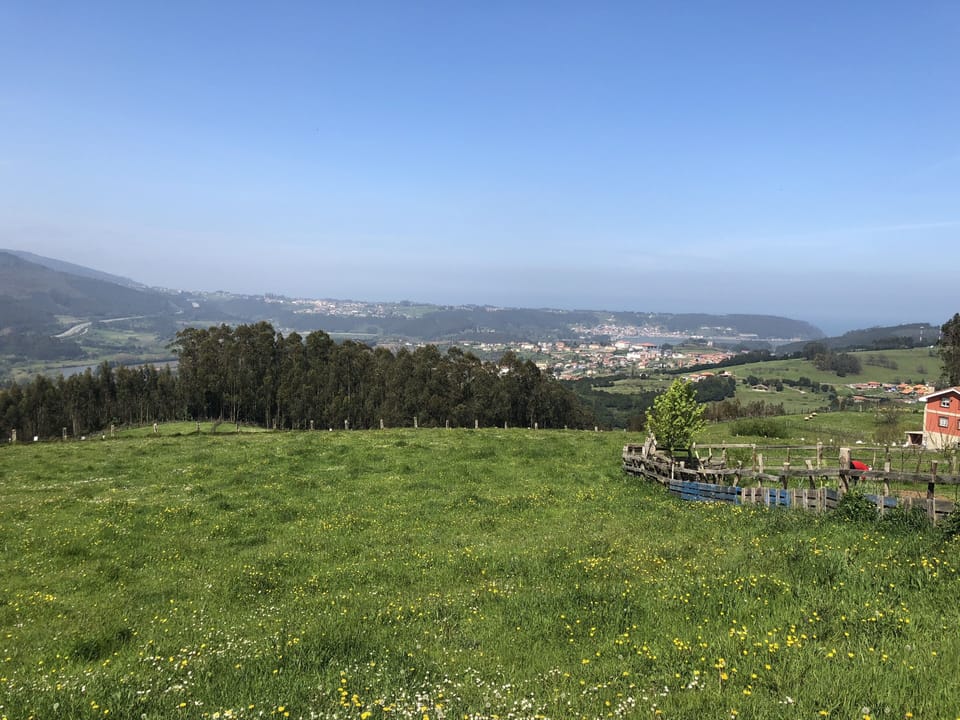 Hiking