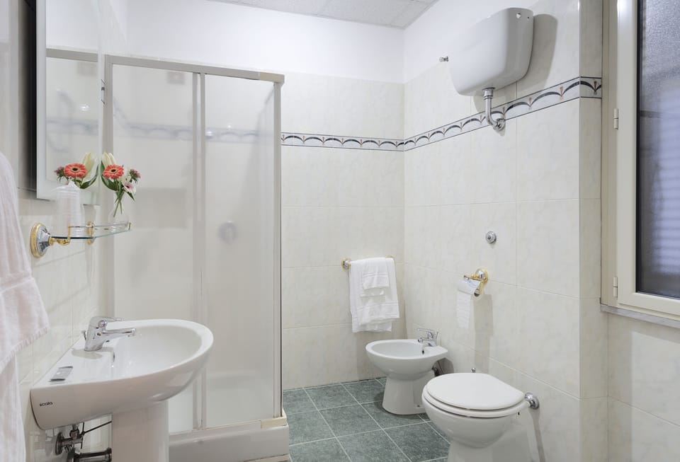 Shower, free toiletries, bidet, towels