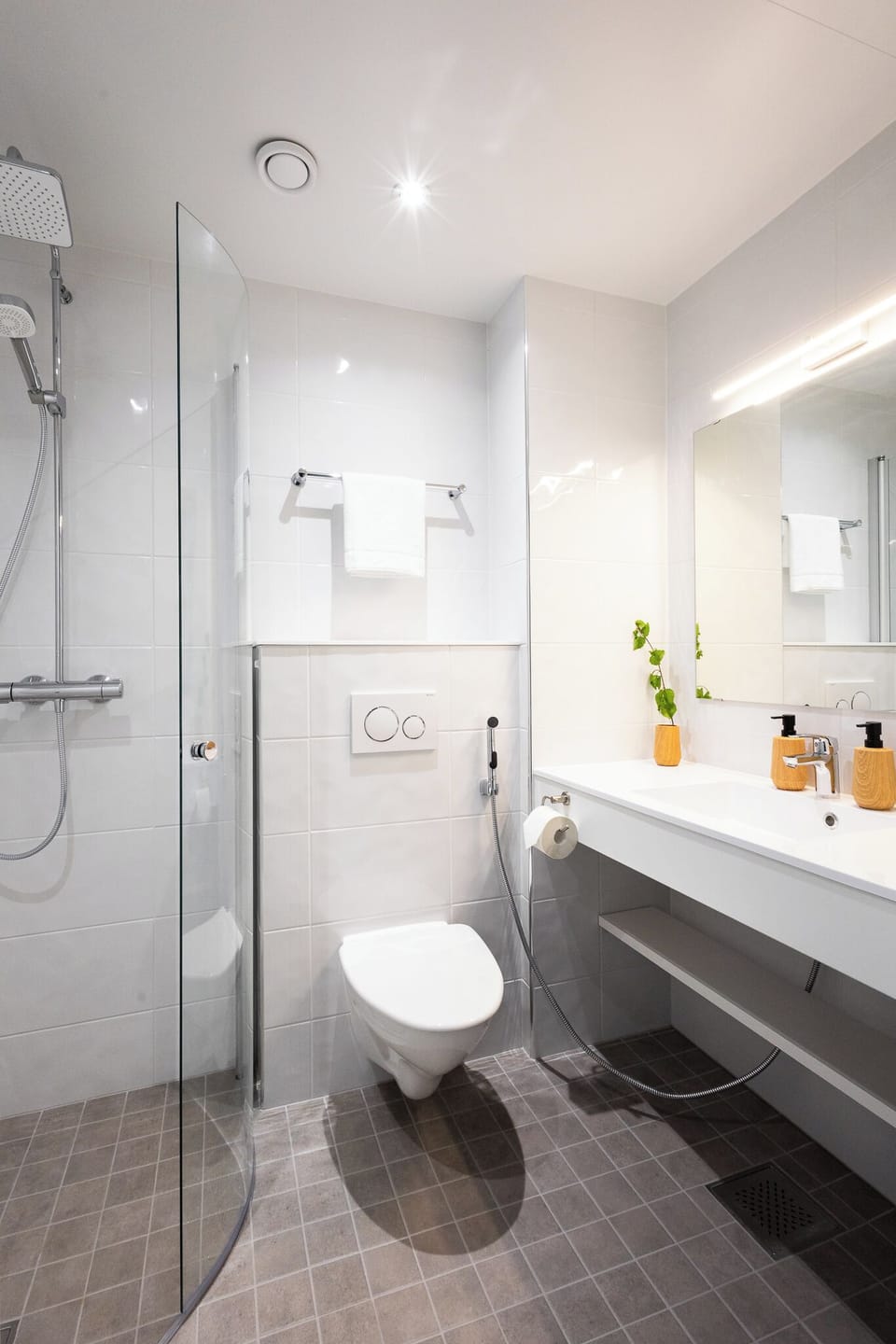 Shower, rainfall showerhead, hair dryer, bidet