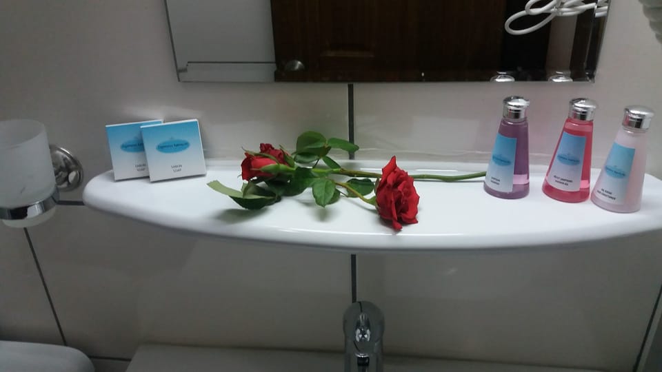 Deep soaking tub, free toiletries, hair dryer, bathrobes