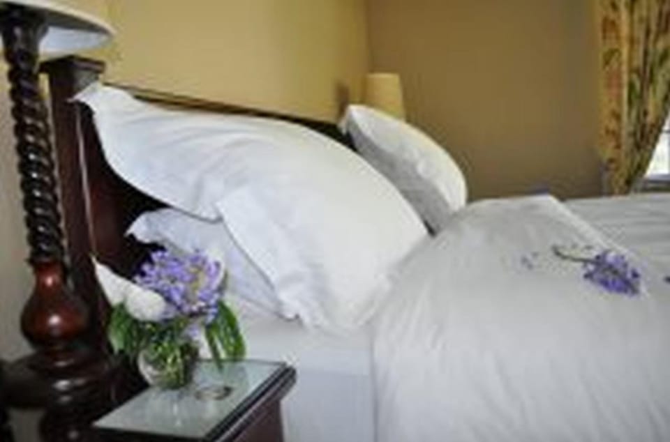 Minibar, in-room safe, desk, WiFi (free)
