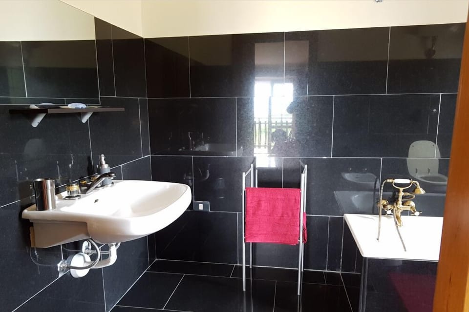 Deluxe Room | Bathroom | Free toiletries, hair dryer, bathrobes, bidet