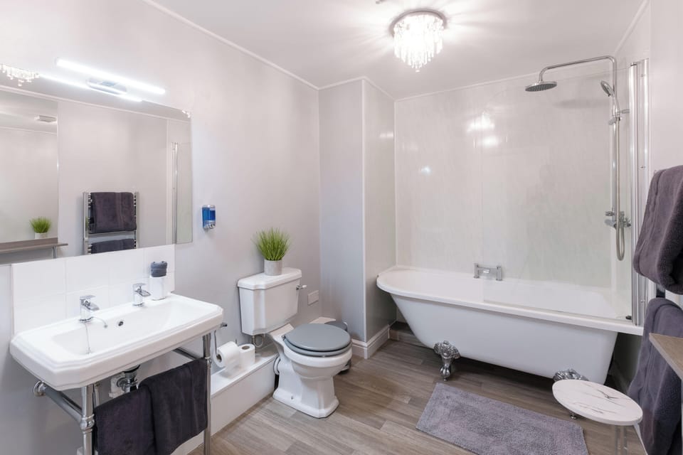 Deluxe Suite | Bathroom | Free toiletries, hair dryer, towels, soap