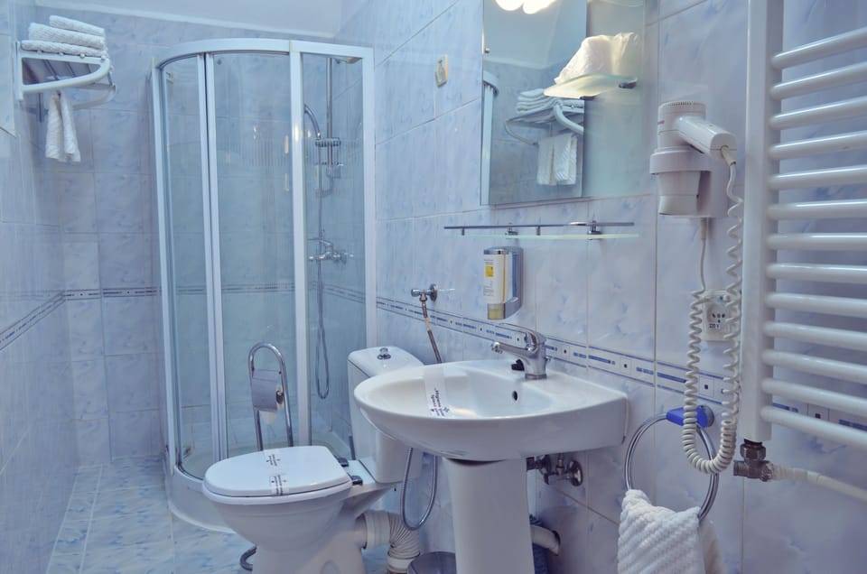 Standard Double Room | Bathroom | Free toiletries, hair dryer, slippers, bidet